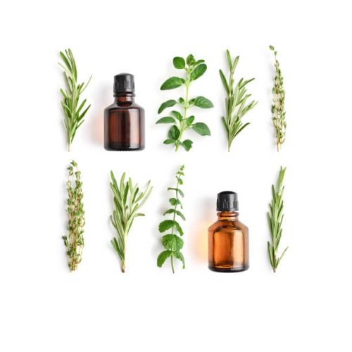 Bottles with essential oils and fresh herbs: rosemary, oregano, thyme and peppermint isolated on white background.